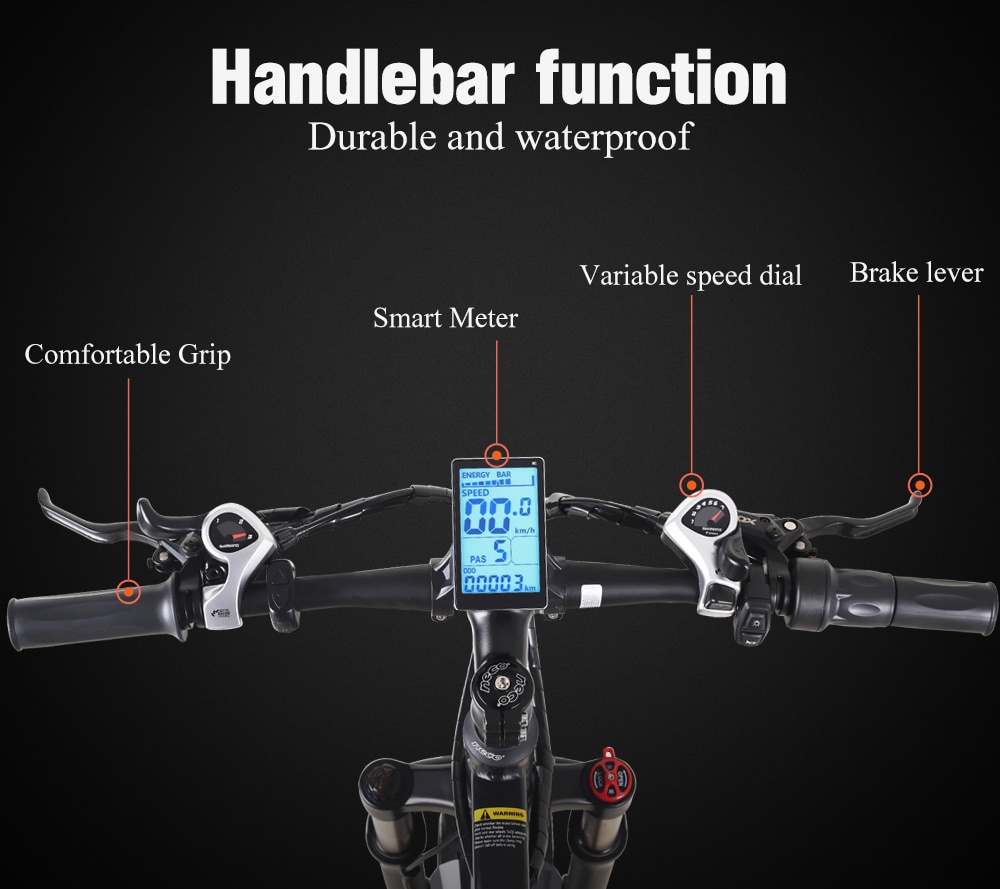 Men's Electric Bike for Mountains and Snow